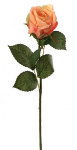 NIC *  20" Rose Bud Apricot