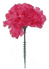 NIC *  3.5" Carnation Pick Fuchsia