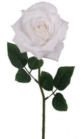 NIC *  5" Dia 20" Open Rose White