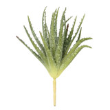 WIN *  Succulent Mini Aloe Pick 10" Green