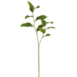 WIN *  Salal Leaf 23" Dark Green