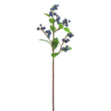 WIN *  Blueberry Spray 23" Navy Blue