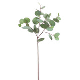 WIN *  Eucalyptus Spray 26" Grn/Grey