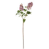 WIN *  Lilac Spray 35" Lav/Purple