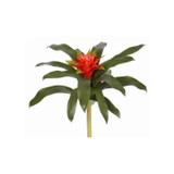 WIN *  Bromeliad 14" Orange/Red