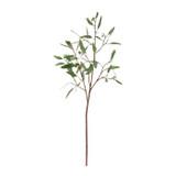 WIN *  Eucalyptus Long Stem 43" Green