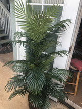SW *  72" Areca Palm in Pot