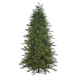 B * 14ft Alaskan Deluxe Fir (3Ctn)