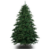 B * 12ft Alaskan Delx Fir LED 5mm