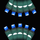 HOF * M5 LED 100Lt Blue