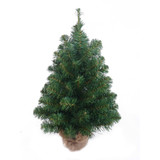 NIC *  18" Northern Spruce Tree