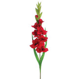 AS *  36.6" Gladiolus Spray White
