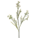 AS *  27" Waxflower x3 White