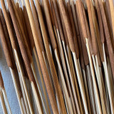 KN * Pencil Cattails Dark