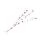 FD *  Pearl Sprayzz Rose Gold