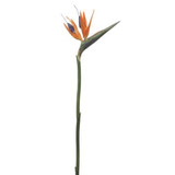 AS *  27" Bird of Paradise Orange