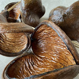 KN * Badam Nut/Stem Varnished