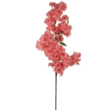 NIC *  40" Cherry Blossom Spr Pink