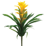 AS *  14" Bromeliad Yellow Green