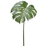 AS *  23.5" Philodendron Spray Green TT