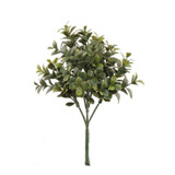 NIC *  10" Boxwood Pick