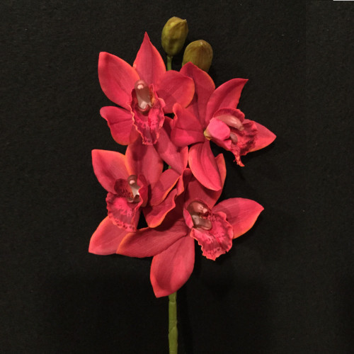 MEF*30.5" Cymbidium Red Spray