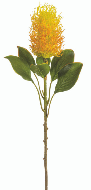 AS *  22" Banksia Spray Orange