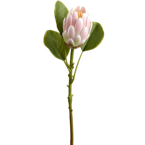 AS * 21" Protea Spray Soft Pink AS * 21" Protea Spray Soft Pink