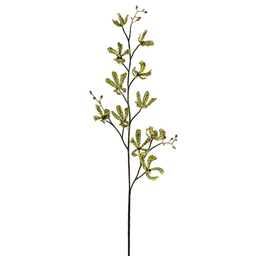 AS * 41.5" Dendrobium Spray AS * 41.5" Dendrobium Spray