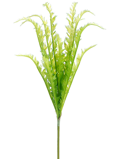 AS * 24" Soft Fern Spray AS * 24" Soft Fern Spray