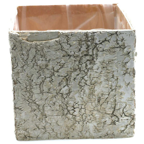 AD * Birch Square Pots 5.5" White