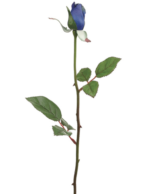 AS *  23" Rose Bud x1 Blue