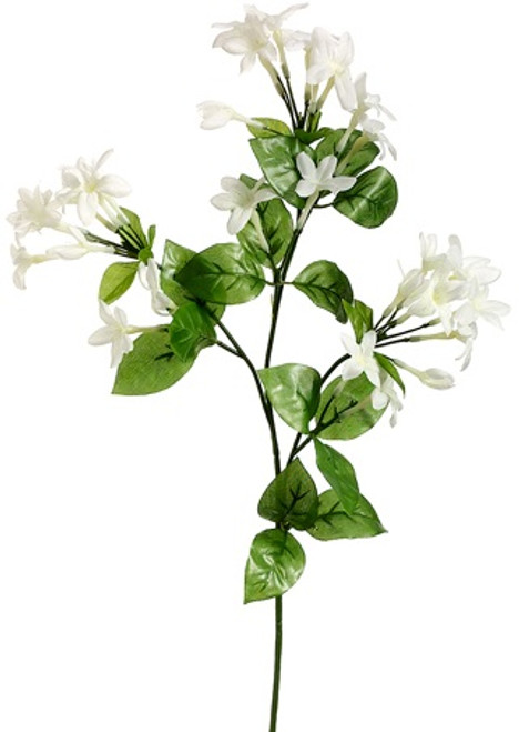 AS *  27" Stephanotis Spray x3 White