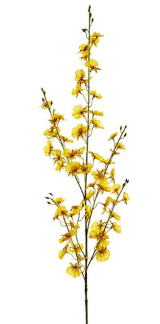 AS *  40" Oncidium Orchid Yellow