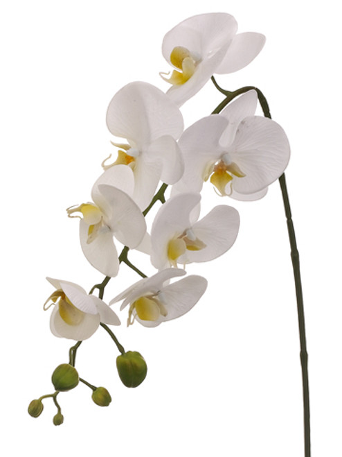 AS *  28.5" Phalaenopsis Spray White