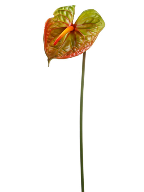 AS *  28" Anthurium Spray Grn Burg