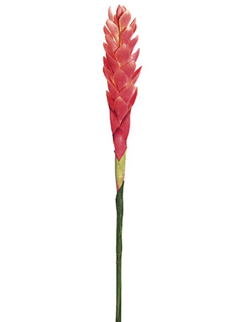 AS *  30" Hawaiian Ginger Pink