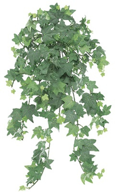 AS *  23" Mini English Ivy Hanging Bush