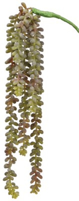 AS *  19" Donkey Tail Vine Green