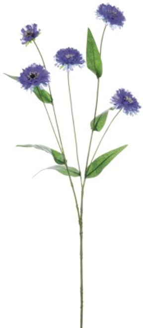 AS *  26" Cornflower Spray Blue