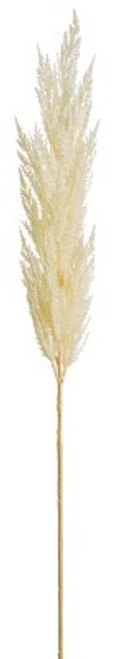 AS *  46" Pampas Grass White