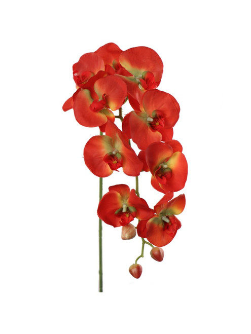 NIC *  33.5" Phalaenopsis Stem Orange