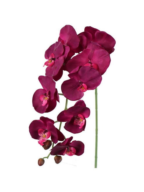 NIC *  33.5" Phalaenopsis Stem Purple
