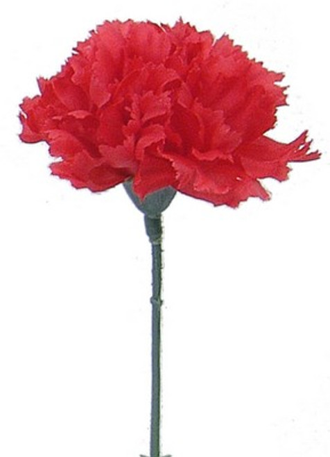 NIC *  3.5" Carnation Pick Red