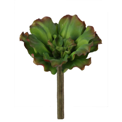 WIN-32033.GR Succulent Ruffle Pick 6" Green