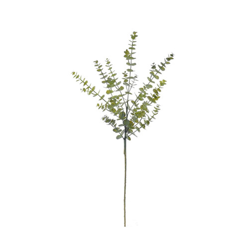 WIN * Eucalyptus Branch 44" Green WIN * Eucalyptus Branch 44" Green