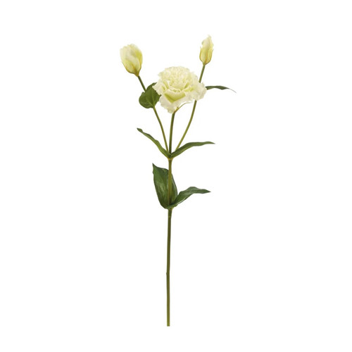 WIN *  Lisianthus 22" White