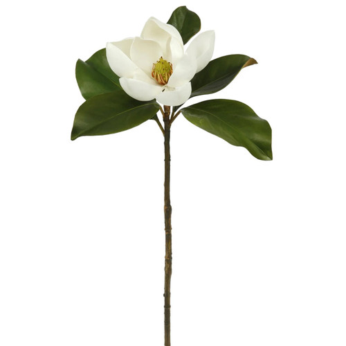 WIN *  Magnolia 24" Two Tone White