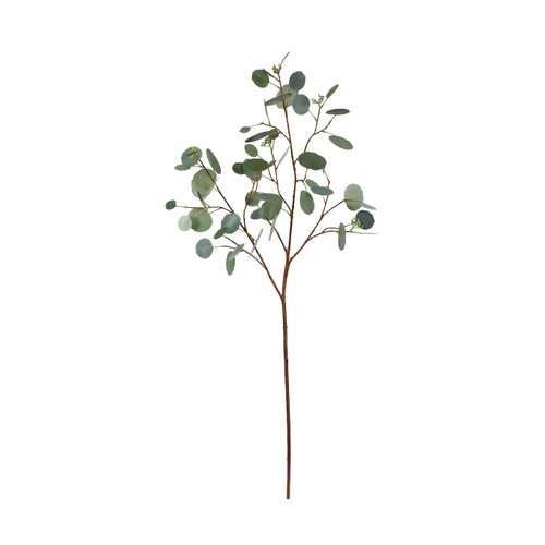 WIN *  Eucalyptus Dollar Stem 44" Grn