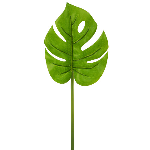 AS *  20" Monstera Spray Green